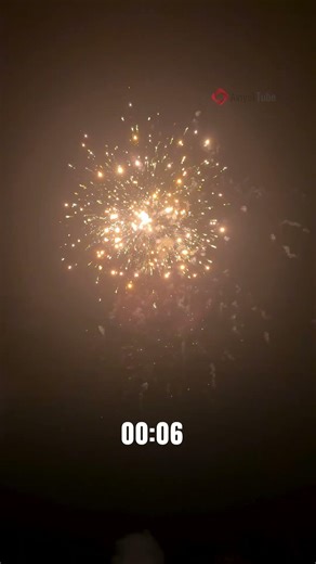 പൈറോ പാര്‍ട്ടി Meena Fireworks Pyro Pary -#padakkam,#vishu2026,#shorts #fireworks