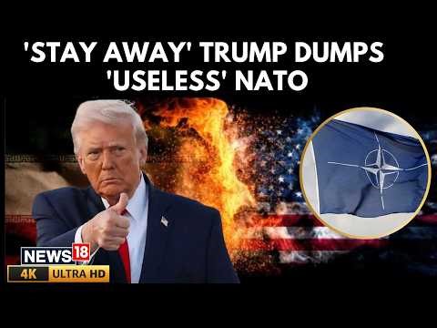 Trump Slams NATO As ‘Paper Tiger’, Backs Gulf Allies After Hormuz Reopening | US Iran War | 4K |N18G