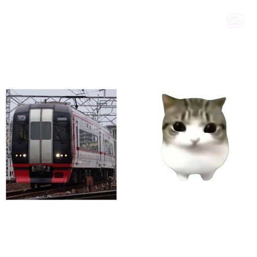 名遠が好きな名鉄の顔 特急車両編 #名鉄