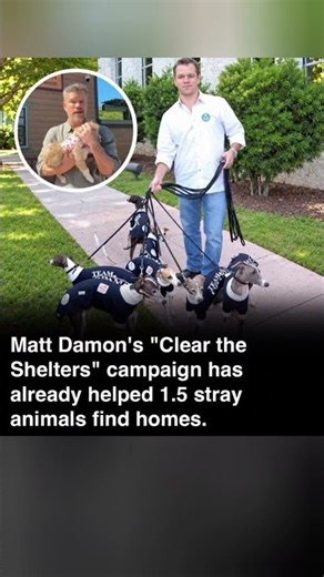 MATT DAMON has helped promote an incredible animal rescue campaign #mattdamon 👇