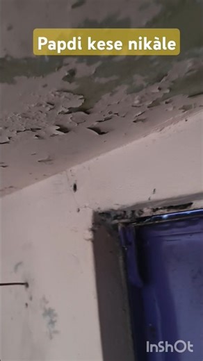 How To Remove Wall Scum (And Why It’s Happening)