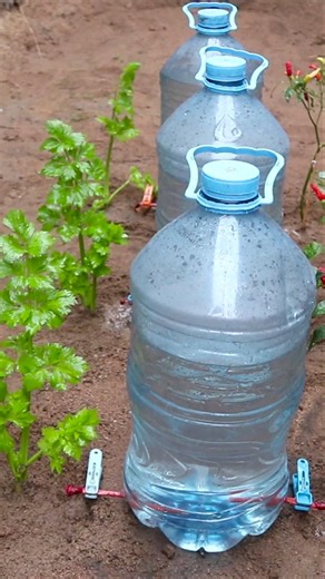 how to make home made drip irrigation system #dripirrigationsystem #irrigationmethod