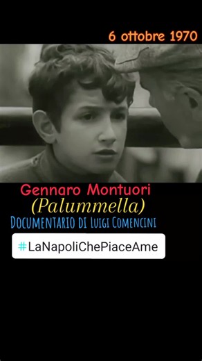 Gennaro Montuori Palummella documentario di Luigi Comencini