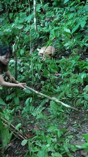 HUGE Python Encounter in Jungle! 🐍😱 Woman vs Snake #shorts