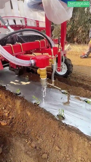 🌱🚜 Dual-Row Seedling Transplanter with Integrated Watering