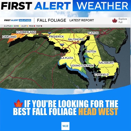 🍁 Western Maryland is the place to be for peak fall foliage 🍁