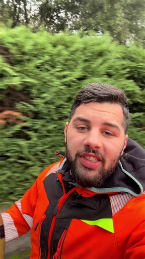 Une journée de tri après Noël : humour au conteneur