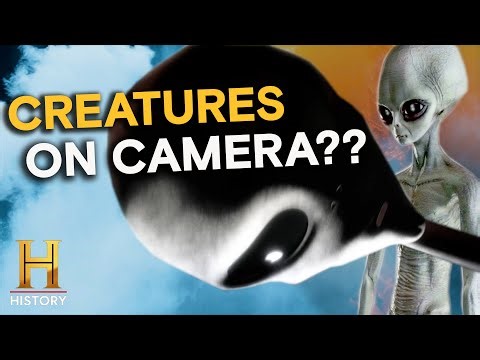 They Saw the Unseen—And Caught It on Camera | The Proof Is Out There
