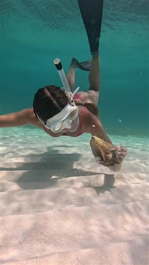 Exploring Florida Keys for Unique Conch Shells