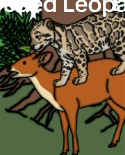 Why It Sucks To Be Born as a Clouded Leopard: The Hard Truths