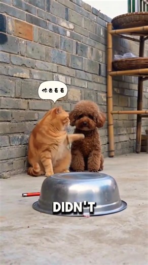 Firecracker Fail! 💥 😂 #Catsoftiktok #CatLovers #cat #cute #FunnyCats #catcartoon #fyp