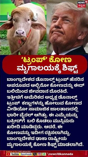 Donald Trump Lookalike Bull Saved From Sacrifice | ‘ಟ್ರಂಪ್‌’ ಕೋಣ ಮೃಗಾಲಯಕ್ಕೆ ಶಿಫ್ಟ್ | Bangladesh