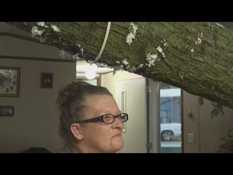 Woman survives after tree falls into home during Arkansas storm