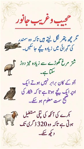 Hidden and Amazing Animal Facts | Nature Secrets You Didn’t Know