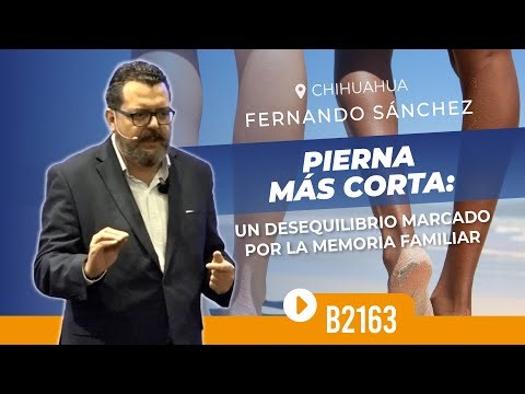 SHORTER LEG: AN IMBALANCE MARKED BY FAMILY MEMORY | B2163 Chihuahua