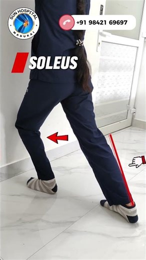 Lower Body Active Static Stretching Routine