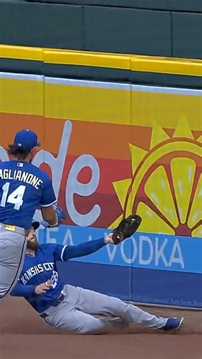 Kyle Isbel makes a sensational catch 🤯