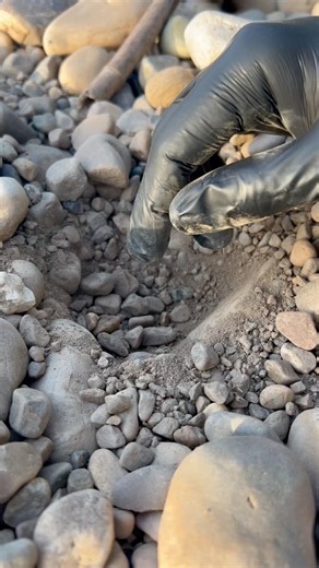 Day 101 of 150 - I Found a Powerful Magnet with Metal Detector 😱 | Amazing Discovery!