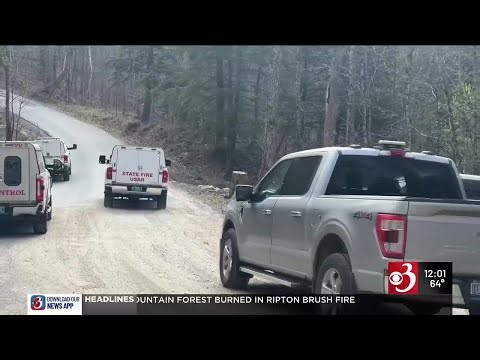 Ripton area brush fire burns nearly 55 acres; new fire reported in Westminster