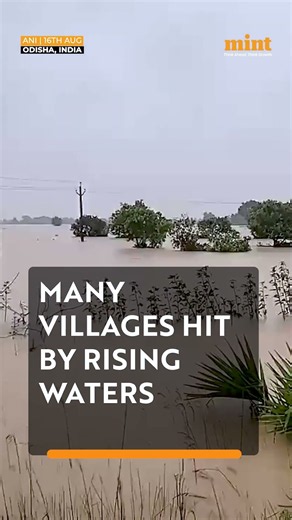 Flood-like Situation Grips Several Parts Of #Odisha | Watch #Shorts