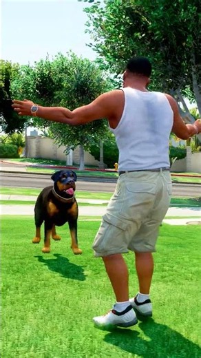 GTA 5: Hyenas corner Chop! Franklin's epic Showdown 👀 #shorts