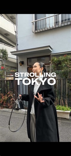 Strolling Tokyo: Itinerary and Tips for Travelers