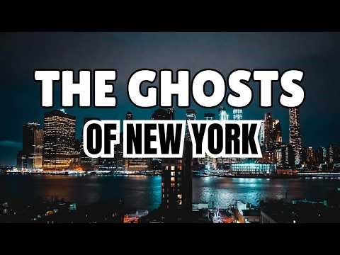 The Shell Company Playbook: How Billionaires Hide Trillions