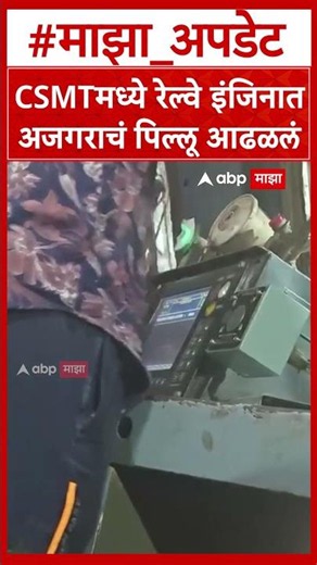 CSMT Engine python CSMT : मध्ये रेल्वे इंजिनात अजगराचं पिल्लू आढळलं