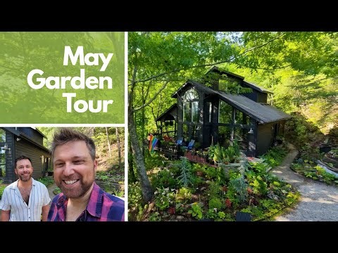 May Garden Tour | We’re Calling It "Chaotic Cottage Core Maximalist"