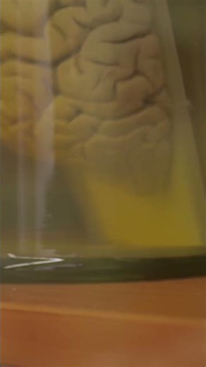 How Long-Term Memory Is Formed in the Brain 🧠 | Neuroscience Explained