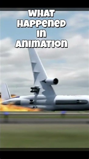 Fedex flight 80 crash