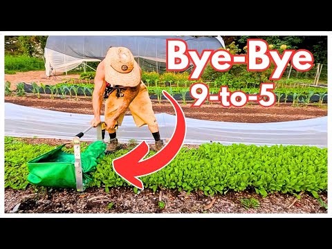 5 Tools I Could NEVER Make Money Market Farming Without...