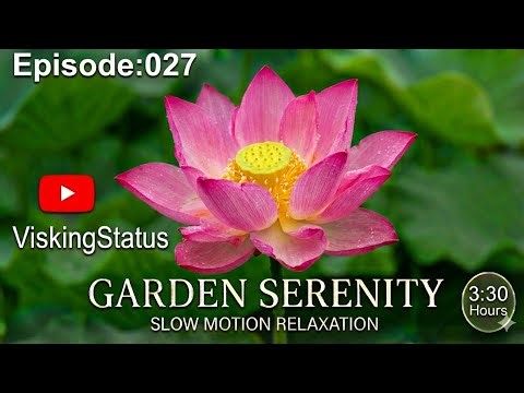 Episode 027 of the Relax series. 3:30 hour journey to be the antidote to a stressful day.