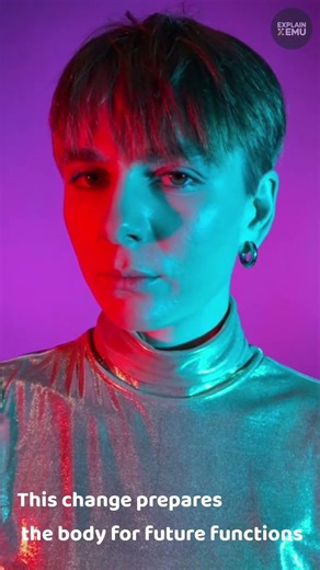 Why Do Breasts Develop in Girls? 🤔 | The Science Behind Puberty. #explore #facts