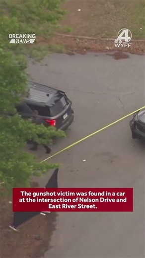 Man found dead inside car after gunshots, crash