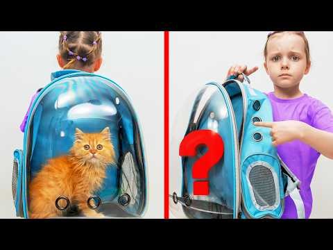 Where Did the Kitty Go? Dasha and Dad Work Together to Find the Furry Friend