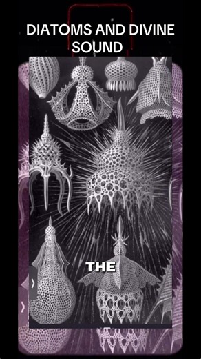 Diatoms and divine sound #wearenotinkansasanymore #frequency #vibrations #ufoキャッチャー