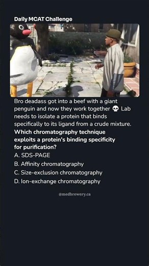 MCAT Daily: Affinity Chromatography and Protein Purification Techniques