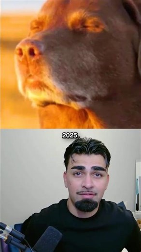 Ranking Every Month Of 2025 🤔