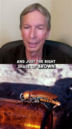 Proof that beer goggles transcend species 🍺