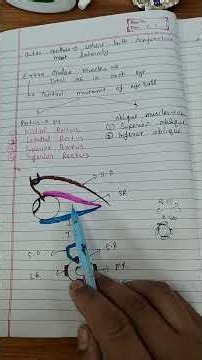 Eye | Anatomy (Extraocular muscle) Hindi