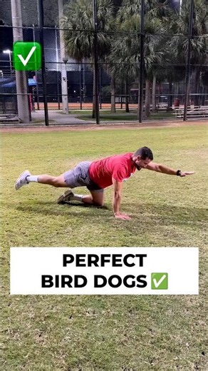 Don't Rush Your Bird Dogs ✅ (DO THEM LIKE THIS) #coreworkout #fitnesstips