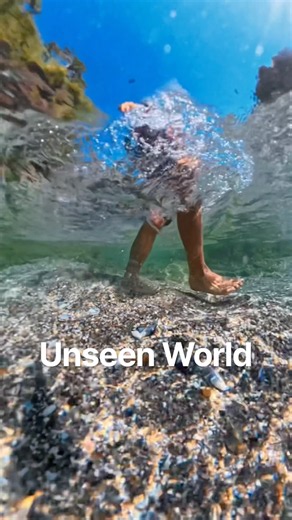 An Unseen World in Laguna Beach
