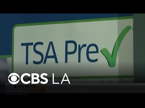 Air travel in disarray as partial government shutdown continues