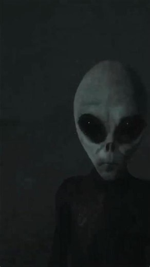 The Grey Aliens Are Invading And Have A Special Agenda | Grey Hill Incident
