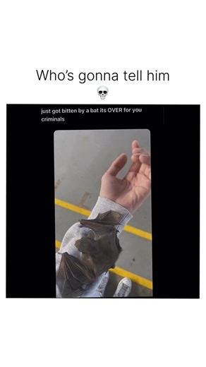 Memeconomics on Instagram: "The first email ever sent was in 1971 and simply said “QWERTYUIOP” as a test! 📧✨ Engineer Ray Tomlinson chose the @ symbol to separate user and machine names, inventing the email address format we still use today. Imagine starting a global communication revolution with just a keyboard mash 😄🚀 Please DM for credit or removal. (All rights reserved to respective owners, no copyright infringement intended)"