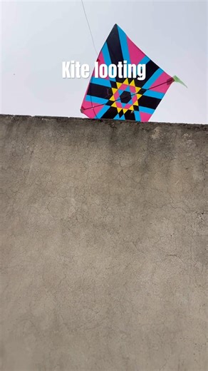 Kite looting 🥶khore me. 😱