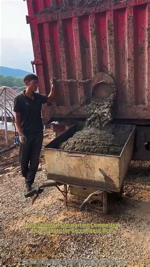 Using Cow Manure as Natural Fertilizer for Greenhouse Crops