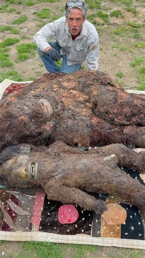Difference in Bigfoot Specimens #Bigfoot #cryptid #sasquatch