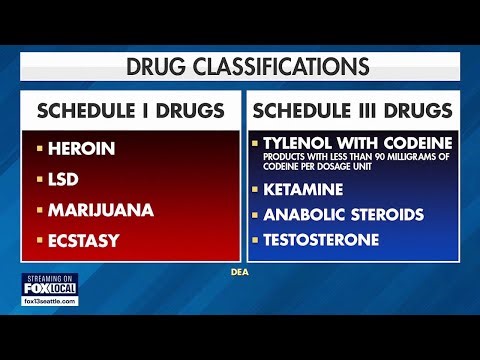 US reclassifies marijuana as less dangerous drug | FOX 13 Seattle
